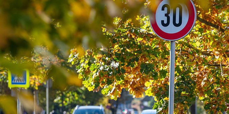 Consulenza: comunicazione e informazione