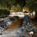 Temporary Bike Parking: al concerto dei Pooh un nuovo record di servizio